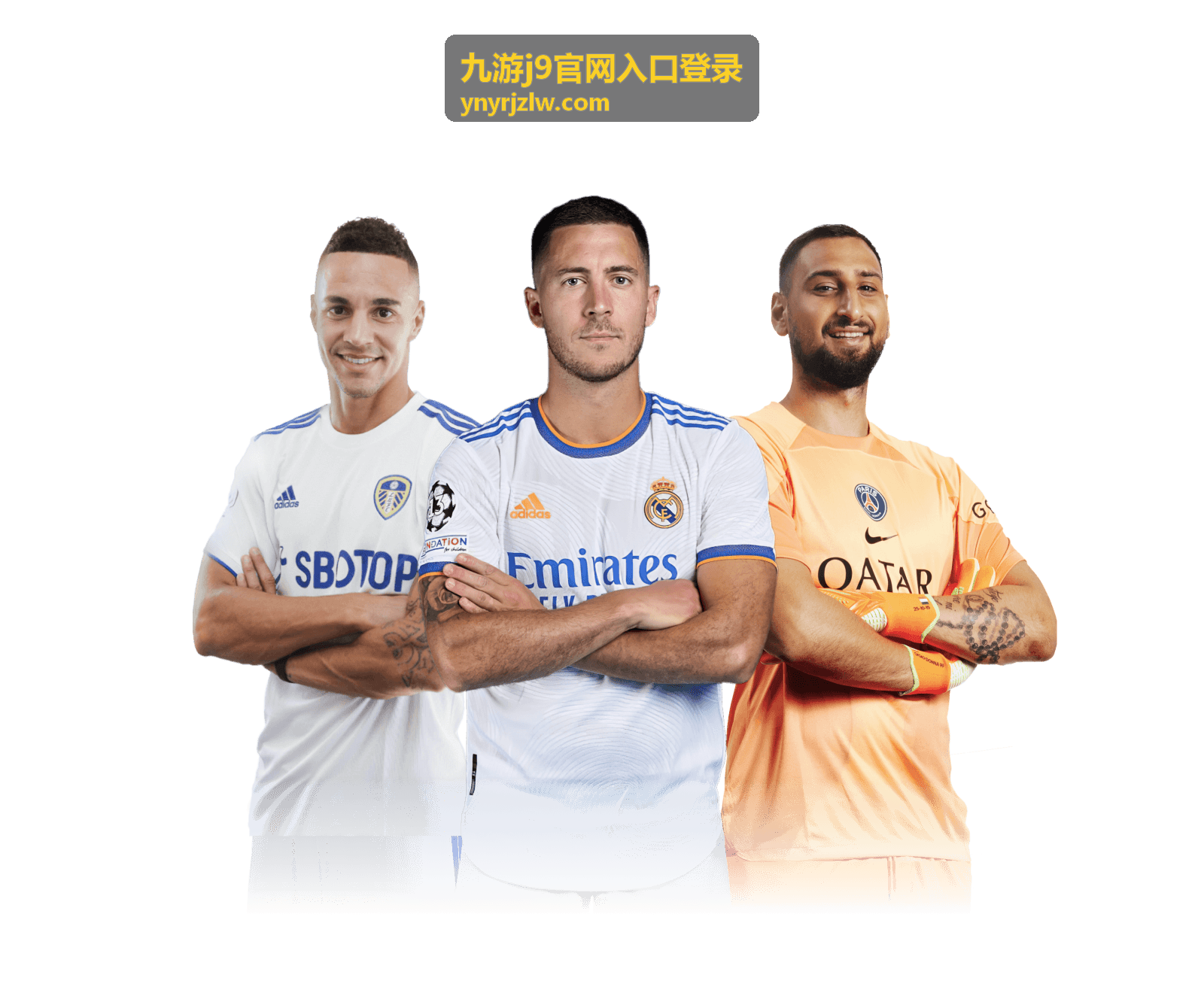 九游j9官网入口登录进入登录页后的验证步骤