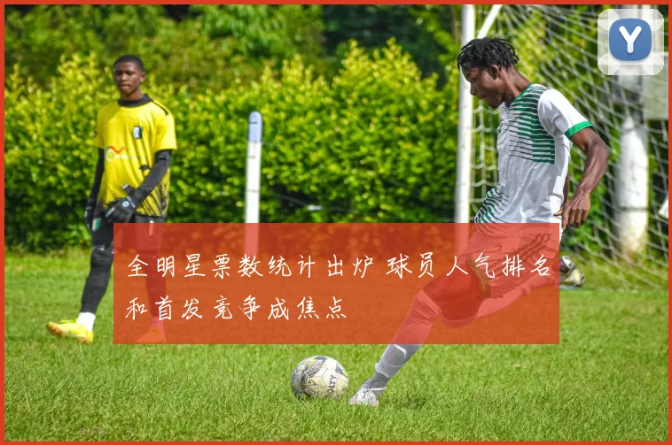 全明星票数统计出炉 球员人气排名和首发竞争成焦点