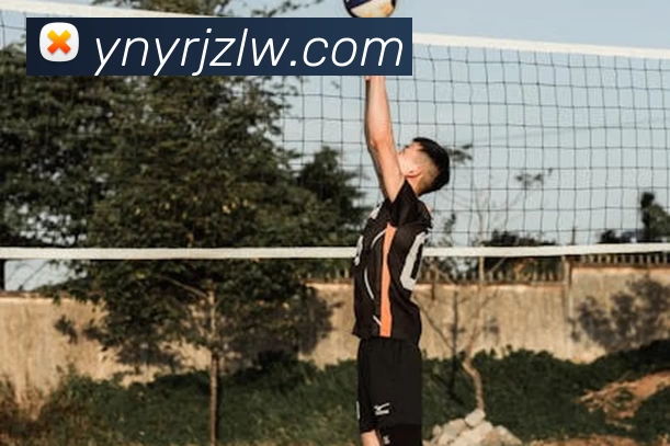 星空网手机官网入口平台生态图