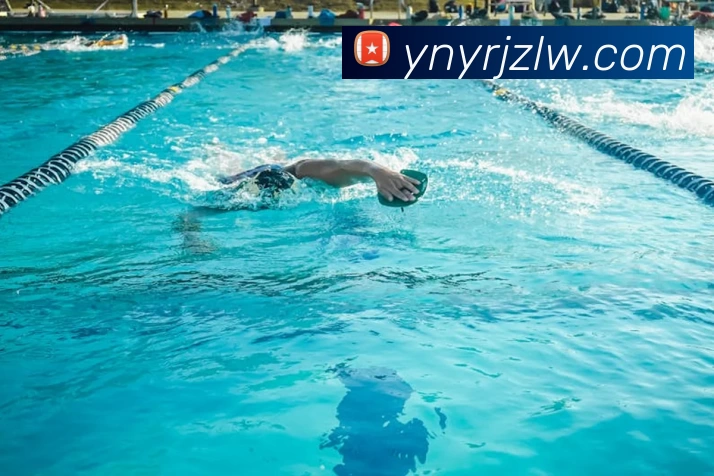 星空网手机官网入口全站App 星空网手机官网入口全站App