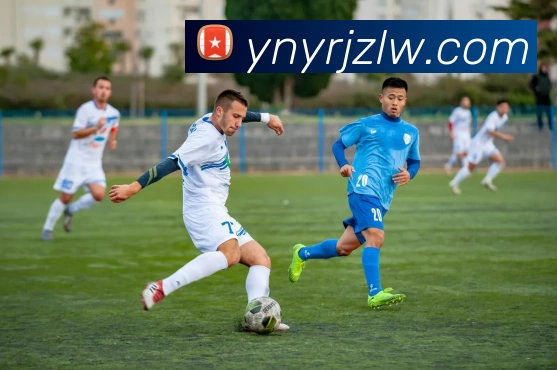 辅助工具 辅助工具